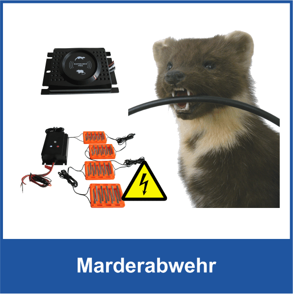 Marderabwehr